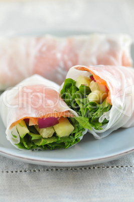 Asiatische Reispapier Rollen mit Lachs