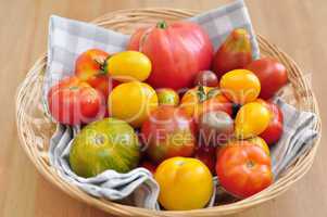 Alte Tomaten Sorten