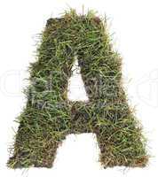grassy letter a cut out