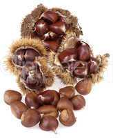 Chestnuts