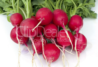 red radish