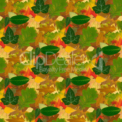 seamless fall texture background