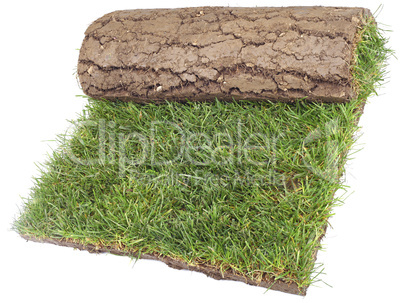 roll of grass rug