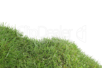 grassy down hill cutout