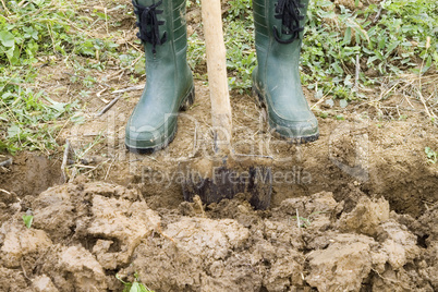 gardening