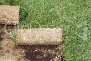grass carpet rolls