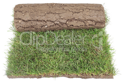 grass carpet roll cut out