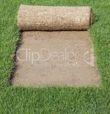 grass carpet cover