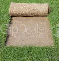 grass carpet cover