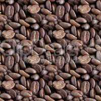 coffee beans tilling texture