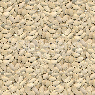pumpkin seeds seamless background