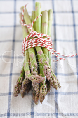 Spargel