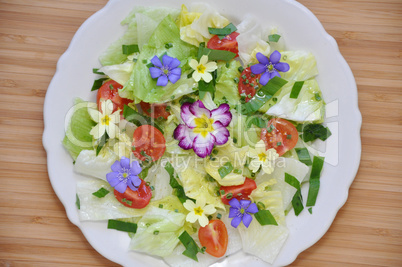 Frühling Salat mit essbaren Blüten