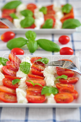 Caprese, Tomaten Mozzarella Salat