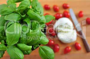 Zutaten für Caprese Salat