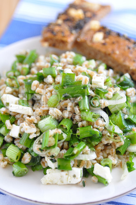 Dinkel Salat mit Kräutern und Frühlingszwiebel