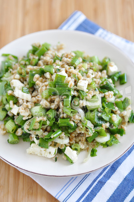 Dinkel Salat mit Kräutern und Frühlingszwiebel