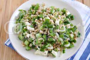 Dinkel Salat mit Kräutern und Frühlingszwiebel