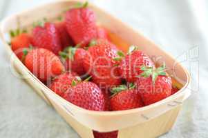 Frische Erdbeeren