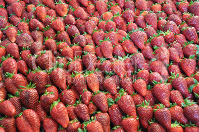 Frische Erdbeeren