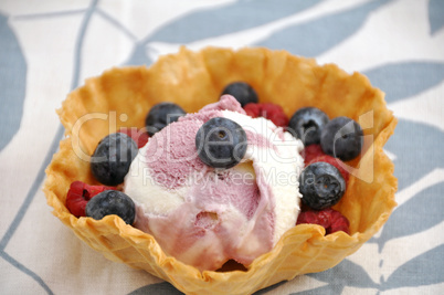 Heidelbeereiscreme mit Heidelbeeren