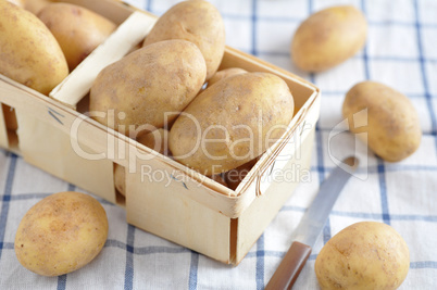 Kartoffel, Erdäpfel