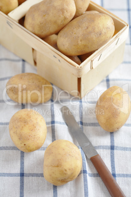 Kartoffel, Erdäpfel