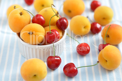 Marillen, Aprikosen und Kirschen