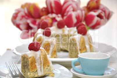 Mohn Gugelhupf mit Himbeeren