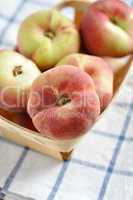 Aprikosen, Pfirsiche