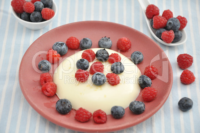 Vanillepudding mit Beeren