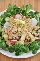 Quinoa Salat mit Radieschen und Spargel