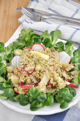 Quinoa Salat mit Radieschen und Spargel