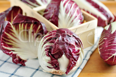 Radicchio Salat