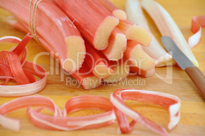 rhabarber, rhubarb