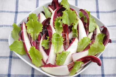 Salat mit Radiccio