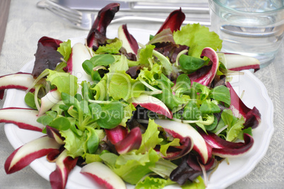 Salat mit Radiccio
