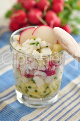 Radieschen Salat im Glas