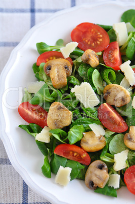 Salat mit gebratenen Champignons, Tomaten und Parmesan