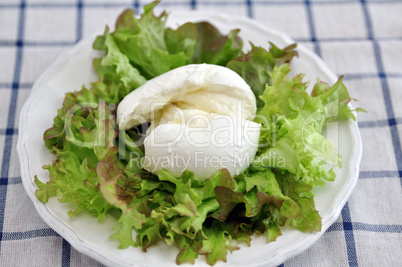 Salat mit Büffel Mozzarella