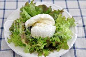 Salat mit Büffel Mozzarella
