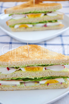 Sandwich mit Radieschen und Salat