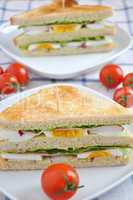 Sandwich mit Radieschen und Salat