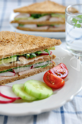 Vollkorn Sandwich mit Forelle und Gemüse