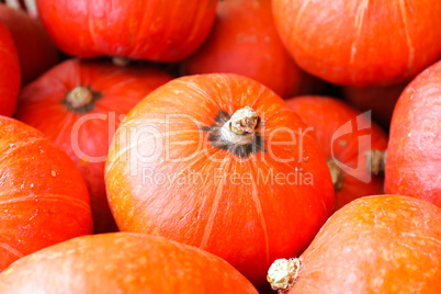 red kabocha squash