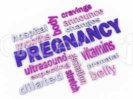 3d pregnancy word cloud concept with great terms