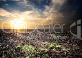 Sunrise over the cultivated field