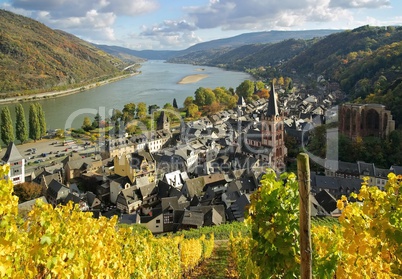 bacharach 09