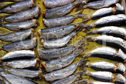 baked sardines