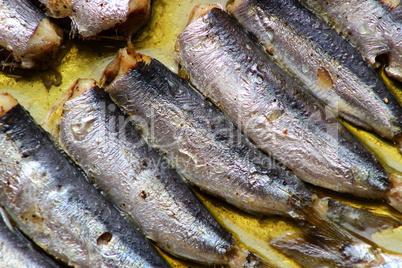 baked sardines